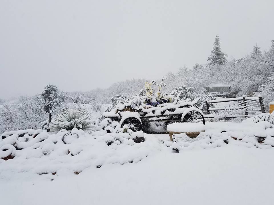 Snow in Tucson